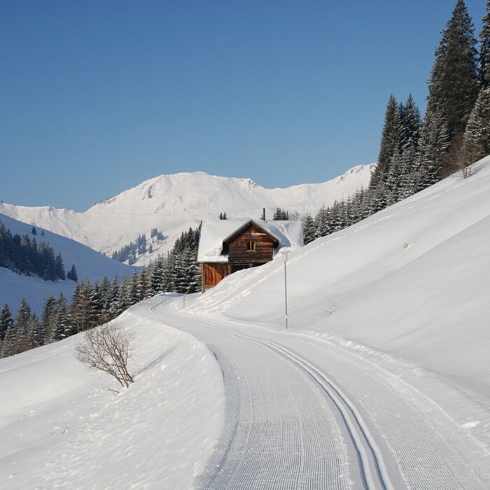 Skilanglauf in Damüls